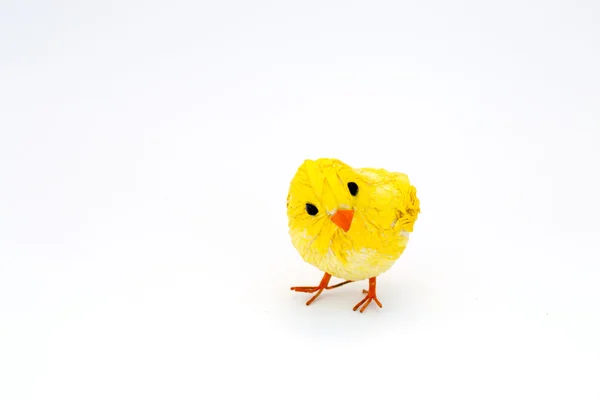 Желтый цыпленок — стоковое фото