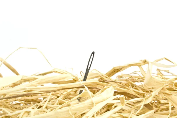 Needle in a haystack — Stock Photo, Image