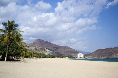 Güneşli plaj sahnesi