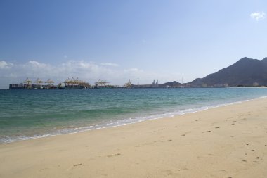 Güneşli plaj sahnesi