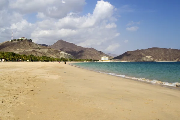 Scène plage ensoleillée — Photo