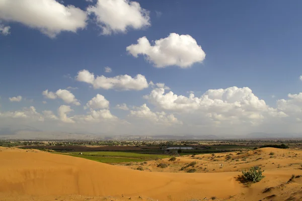 Planície do deserto — Fotografia de Stock