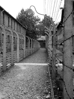 Auschwitz toplama kampı, Polonya