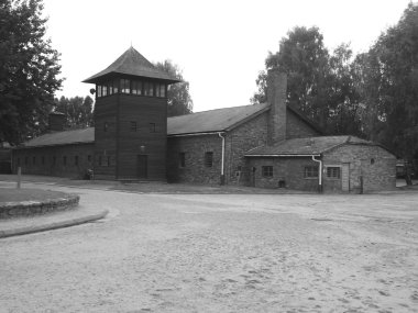 Auschwitz toplama kampı, Polonya