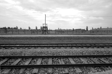 Auschwitz toplama kampı, Polonya