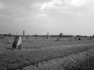 Auschwitz toplama kampı, Polonya