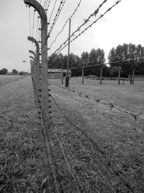 Auschwitz toplama kampı, Polonya