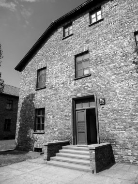 Auschwitz toplama kampı, Polonya