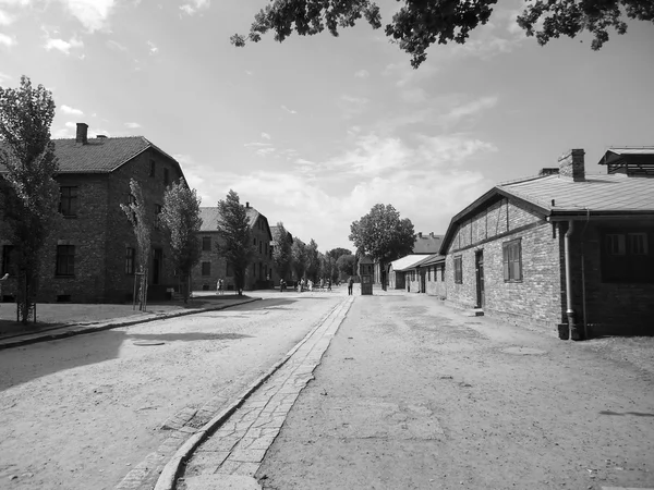 Auschwitz toplama kampı, Polonya — Stok fotoğraf