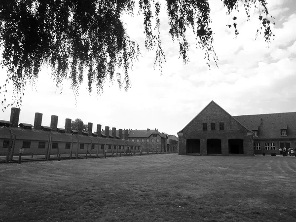 Auschwitz toplama kampı, Polonya — Stok fotoğraf