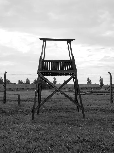 Auschwitz toplama kampı, Polonya