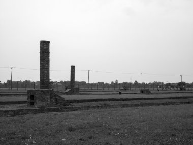 Auschwitz toplama kampı, Polonya