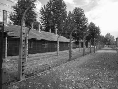 Auschwitz toplama kampı, Polonya
