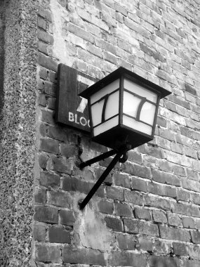 Auschwitz toplama kampı, Polonya