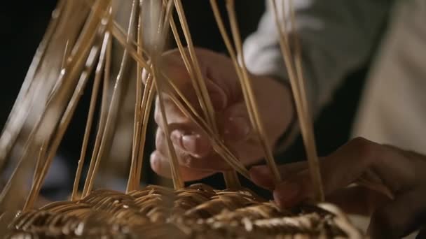 Плетение из ивовых ветвей — стоковое видео