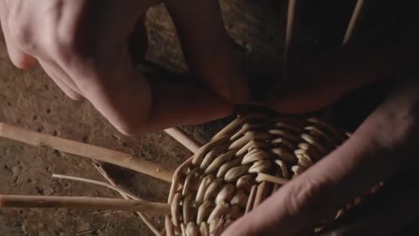 버드나무 가지에서 바구니를 짜는 모습 — 비디오