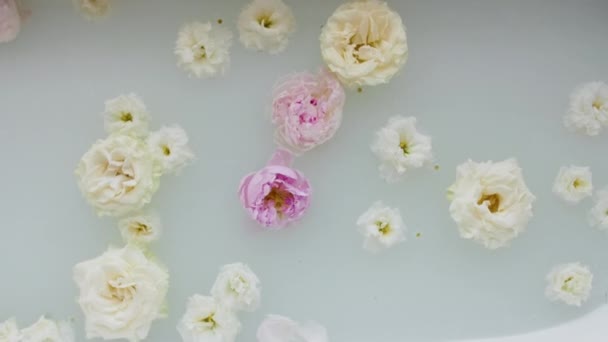 Flores en una bañera — Vídeos de Stock