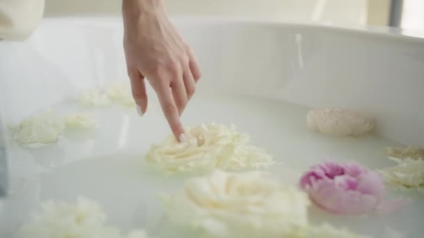 Kwiaty w wannie — Wideo stockowe