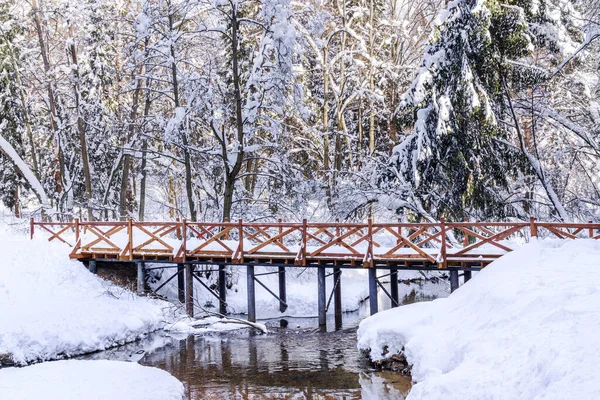 Podul Pietonal Din Lemn Peste Râu Pădure Peisaj Iarnă — Fotografie, imagine de stoc