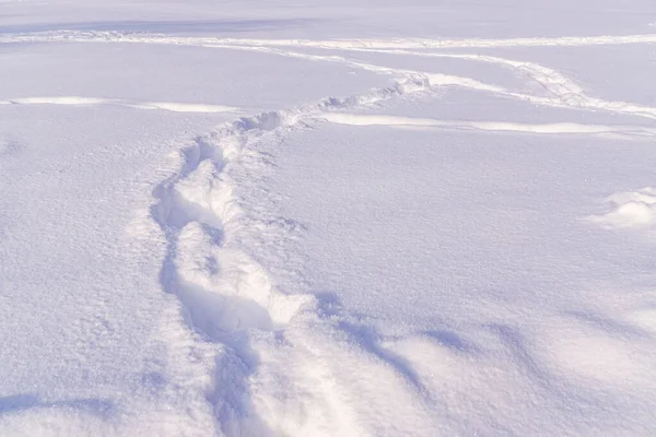 深いふわふわの白い雪の中で人間の足跡のパス 冬の風合い — ストック写真