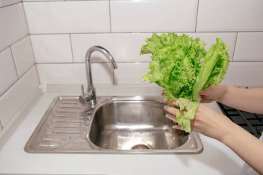 Kadın ellerinde taze salata yaprakları yemek pişirmek için lavaboda yıkanacak.