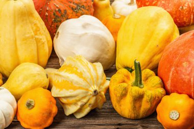 Çeşitli olgun balkabaklarından hasat et. Renkli bir arka plan, Şükran Günü ya da Cadılar Bayramı. Eski tahta arka plan