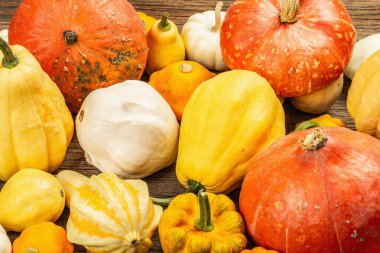 Çeşitli olgun balkabaklarından hasat et. Renkli bir arka plan, Şükran Günü ya da Cadılar Bayramı. Eski tahta arka plan