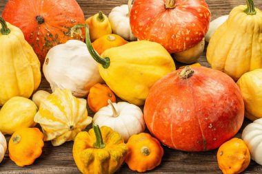 Çeşitli olgun balkabaklarından hasat et. Renkli bir arka plan, Şükran Günü ya da Cadılar Bayramı. Eski tahta arka plan