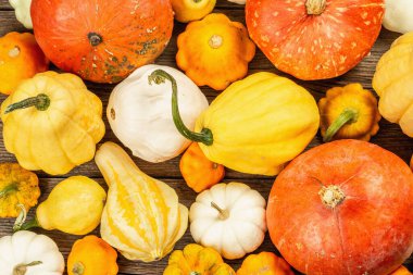 Çeşitli olgun balkabaklarından hasat et. Renkli bir arka plan, Şükran Günü ya da Cadılar Bayramı. Eski tahta arka plan