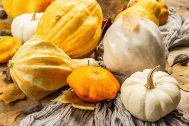 Ahşap arka planda renkli balkabakları ve kabak koleksiyonu. Çeşitli dekoratif ve yenilebilir sebzelerin sonbahar hasadı.