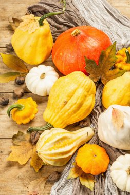 Ahşap arka planda renkli balkabakları ve kabak koleksiyonu. Çeşitli dekoratif ve yenilebilir sebzelerin güz hasadı, üst manzara