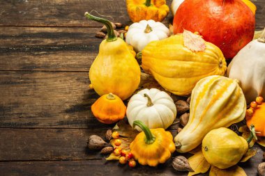 Çeşitli kabak ve kabak hasadı. Dekoratif ve yenilebilir sebzeler, böğürtlenler, fındıklar ve dökülen yapraklarla güzel bir sonbahar geçmişi var. Vintage ahşap arkaplan, kopyalama alanı