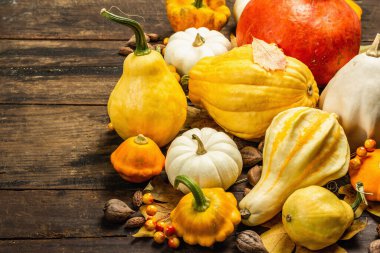 Çeşitli kabak ve kabak hasadı. Dekoratif ve yenilebilir sebzeler, böğürtlenler, fındıklar ve dökülen yapraklarla güzel bir sonbahar geçmişi var. Vintage ahşap arkaplan, kopyalama alanı