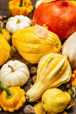 Çeşitli kabak ve kabak hasadı. Dekoratif ve yenilebilir sebzeler, böğürtlenler, fındıklar ve dökülen yapraklarla güzel bir sonbahar geçmişi var. Vintage ahşap arkaplan, kapat