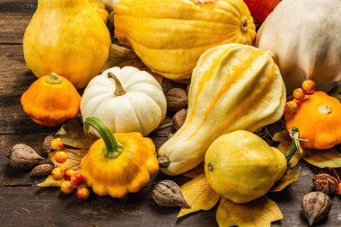 Çeşitli kabak ve kabak hasadı. Dekoratif ve yenilebilir sebzeler, böğürtlenler, fındıklar ve dökülen yapraklarla güzel bir sonbahar geçmişi var. Vintage ahşap arkaplan, kapat