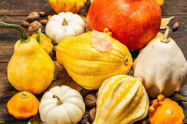 Çeşitli kabak ve kabak hasadı. Dekoratif ve yenilebilir sebzeler, böğürtlenler, fındıklar ve dökülen yapraklarla güzel bir sonbahar geçmişi var. Vintage ahşap arkaplan, kapat