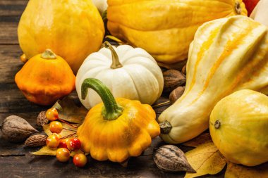 Çeşitli kabak ve kabak hasadı. Dekoratif ve yenilebilir sebzeler, böğürtlenler, fındıklar ve dökülen yapraklarla güzel bir sonbahar geçmişi var. Vintage ahşap arkaplan, kapat