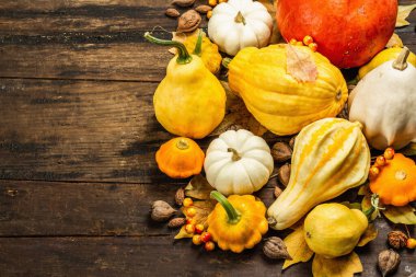 Çeşitli kabak ve kabak hasadı. Dekoratif ve yenilebilir sebzeler, böğürtlenler, fındıklar ve dökülen yapraklarla güzel bir sonbahar geçmişi var. Vintage ahşap arkaplan, üst görünüm