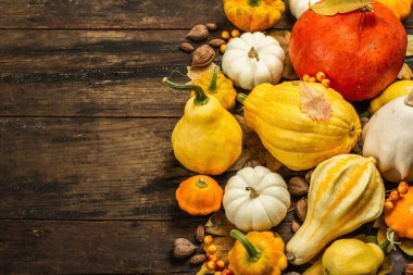Çeşitli kabak ve kabak hasadı. Dekoratif ve yenilebilir sebzeler, böğürtlenler, fındıklar ve dökülen yapraklarla güzel bir sonbahar geçmişi var. Vintage ahşap arkaplan, üst görünüm