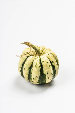 Beyaz arka planda izole edilmiş olgun yeşil balkabağı. Cadılar Bayramı ya da Şükran Günü için geleneksel dekoratif öğe.