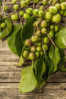 Olgun Actinidia arguta ya da tahta tahta arka planda kivi. Yeşil yapraklı taze meyveler.