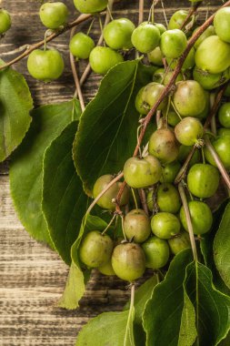 Olgun Actinidia arguta ya da tahta tahta arka planda kivi. Yeşil yapraklı taze meyveler.