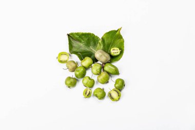 Olgun Actinidia arguta ya da kivi beyaz arka planda izole edilmiştir. Taze meyve dalları, yeşil yapraklar, maket, şablon