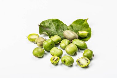 Olgun Actinidia arguta ya da kivi beyaz arka planda izole edilmiştir. Taze meyve dalları, yeşil yapraklar, maket, şablon