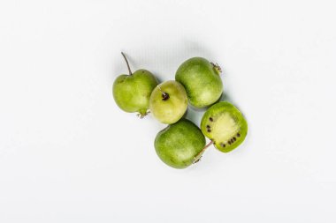 Olgun Actinidia arguta ya da kivi beyaz arka planda izole edilmiştir. Taze meyve dalları, yeşil yapraklar, maket, şablon