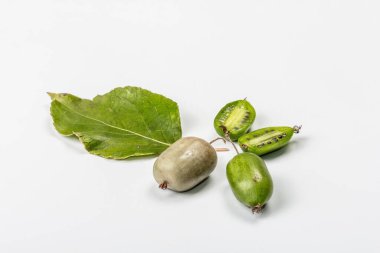 Olgun Actinidia arguta ya da kivi beyaz arka planda izole edilmiştir. Taze meyve dalları, yeşil yapraklar, maket, şablon