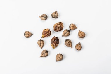 Olgun Juglans cordiforis Maxim ya da beyaz arka planda izole edilmiş kalp şeklinde ceviz. Genç yeşil ve soyulmamış fındıklar, düz yatış, model, şablon