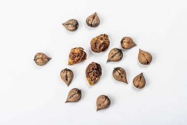 Olgun Juglans cordiforis Maxim ya da beyaz arka planda izole edilmiş kalp şeklinde ceviz. Genç yeşil ve soyulmamış fındıklar, düz yatış, model, şablon