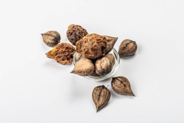 Olgun Juglans cordiforis Maxim ya da beyaz arka planda izole edilmiş kalp şeklinde ceviz. Genç yeşil ve soyulmamış fındıklar, düz yatış, model, şablon