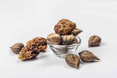 Olgun Juglans cordiforis Maxim ya da beyaz arka planda izole edilmiş kalp şeklinde ceviz. Genç yeşil ve soyulmamış fındıklar, düz yatış, model, şablon